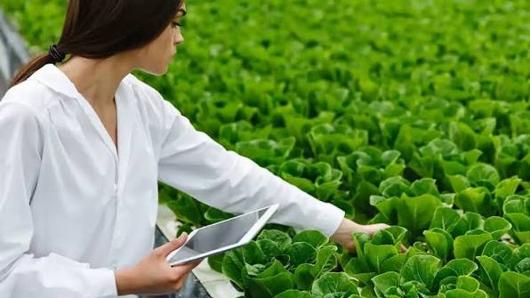 Master of Science in Agribusiness Management and Policy
