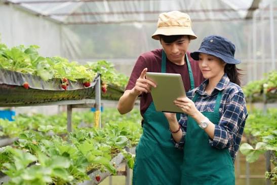 Master of Science in Agribusiness Management