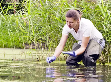 Master of Science in Environmental Studies